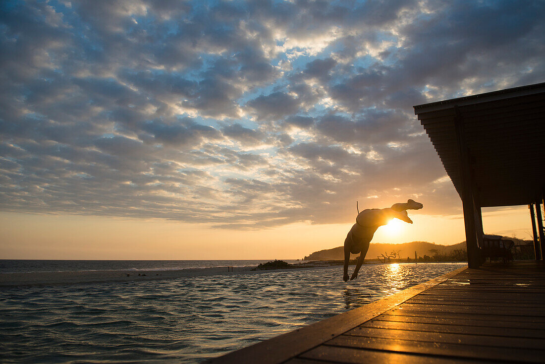 Woman diving to a pool at sunset in a small hotel in the coast of Oaxaca, Mexico.