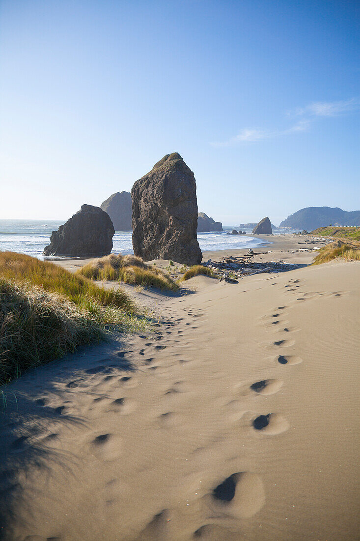 Footprints in the sand at Pistol River State Park, along the Oregon coast.