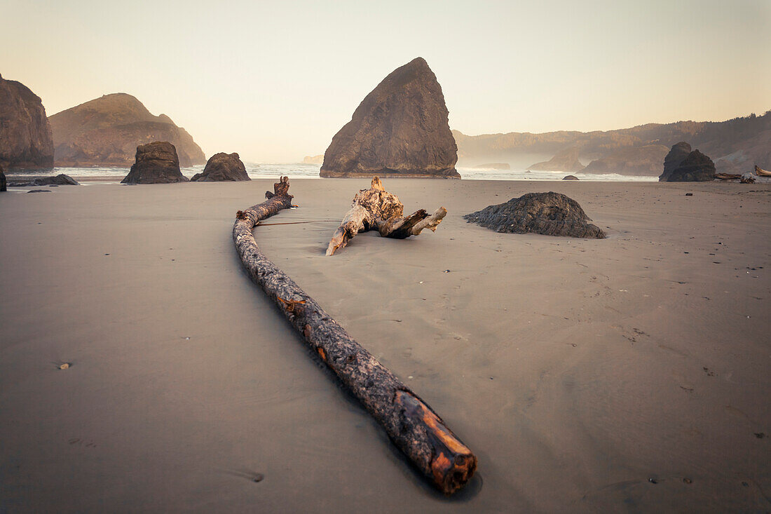 Sea stacks and large wood debris at Meyers Creek Beach, Pistol River State Park, Oregon.