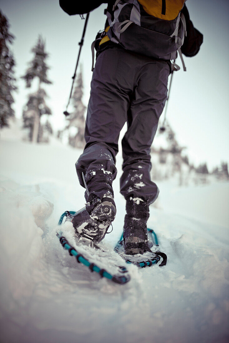 Snowshoeing in Mount Baker, Washington.