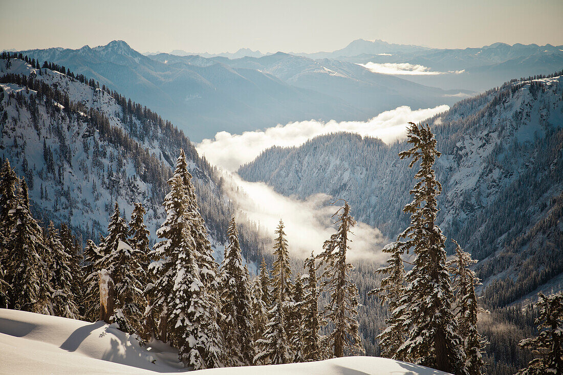 Landscape of low lying clouds sitting in a valley below Mount Baker during winter in Washington.