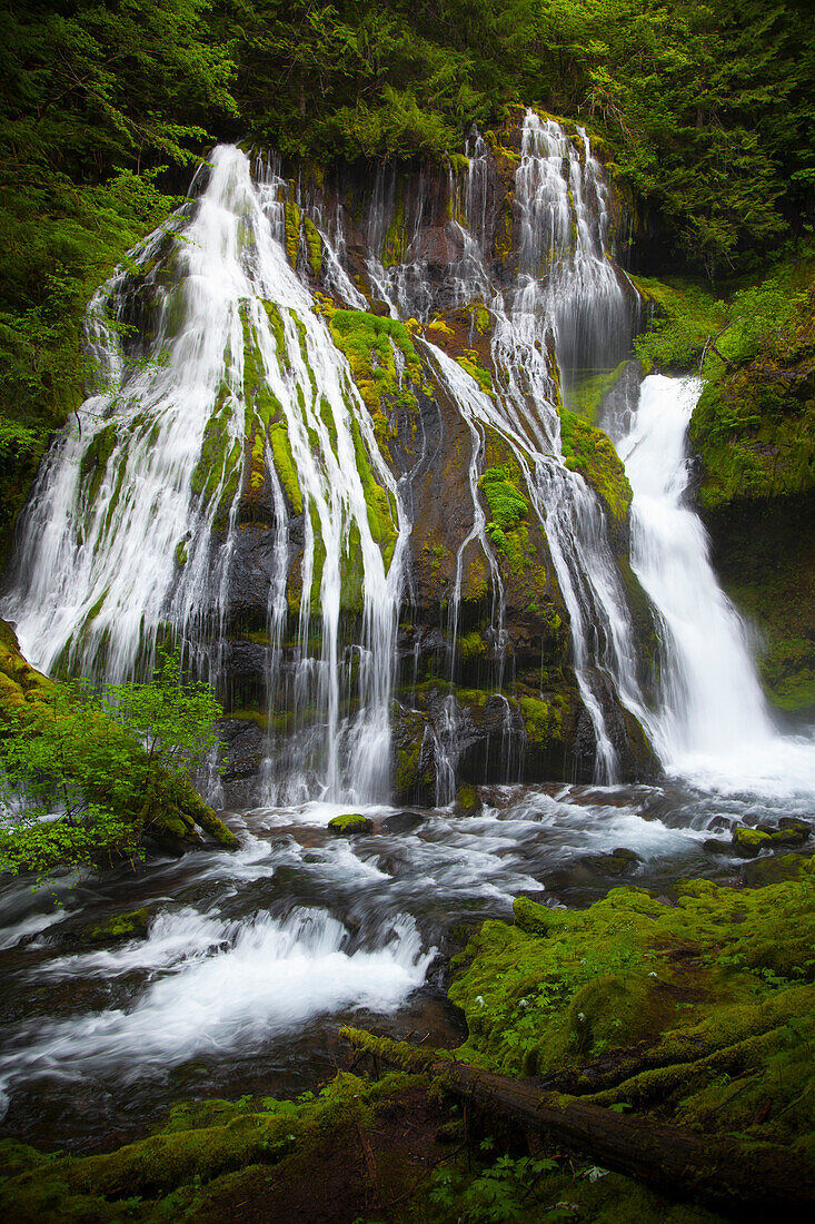Landscape of Panther Creek Falls in Carson, Washington.