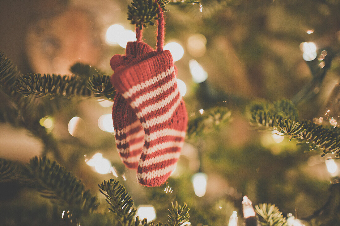 Christmas socks decoration on a Christmas Tree.