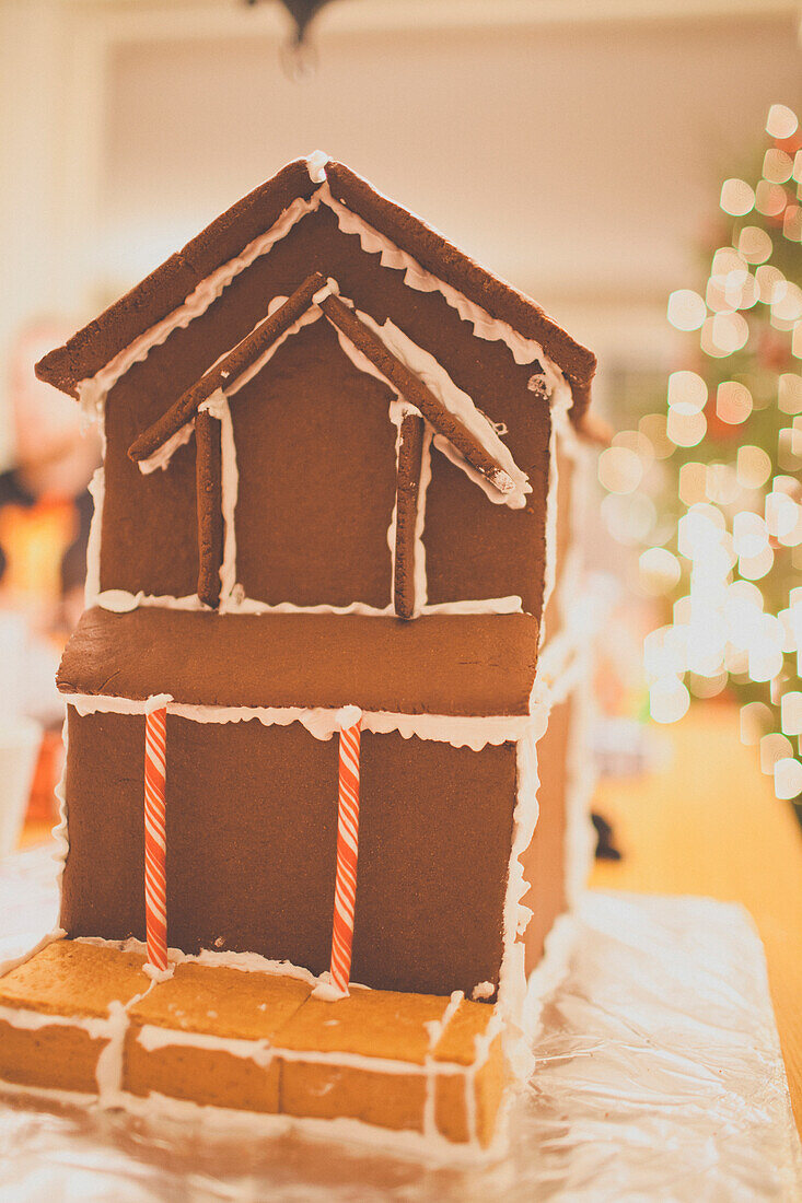 Gingerbread house in the making with Christmas Tree in the background.