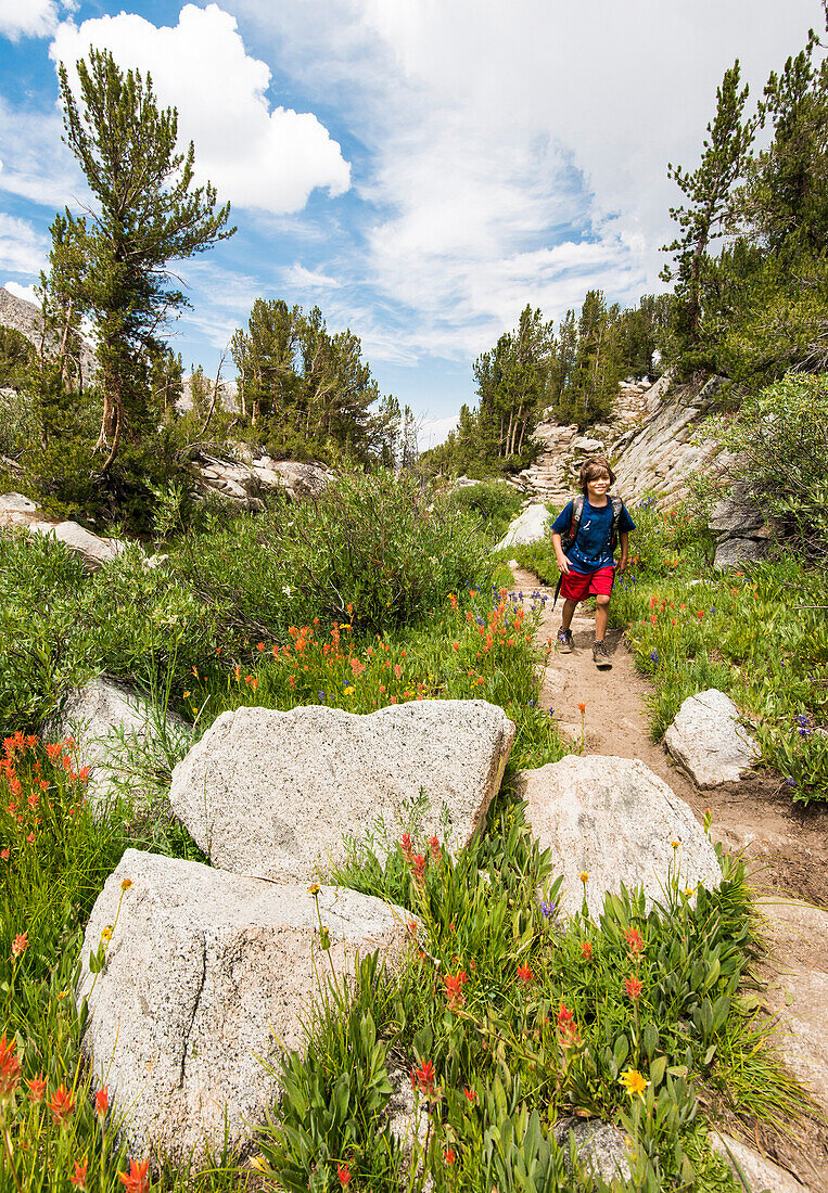 Young boy hiking along wildflower lined trail in High Sierra