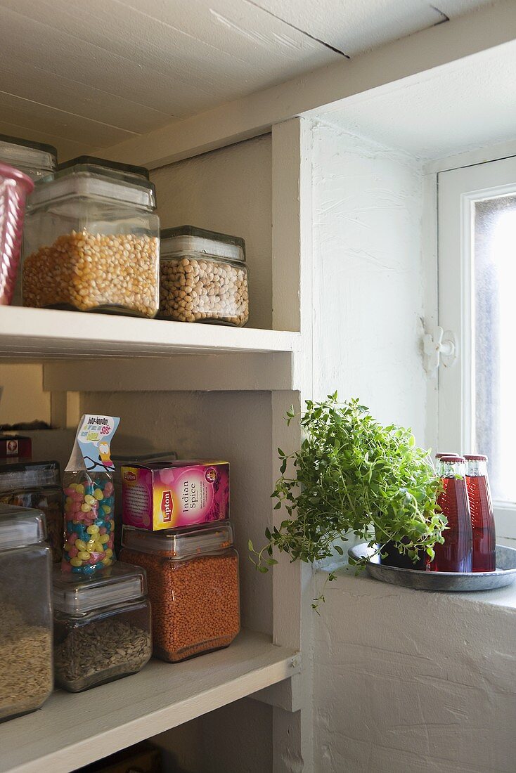 Storage jars on a shelf and herb pots with Campari bottles on a tray in a window niche