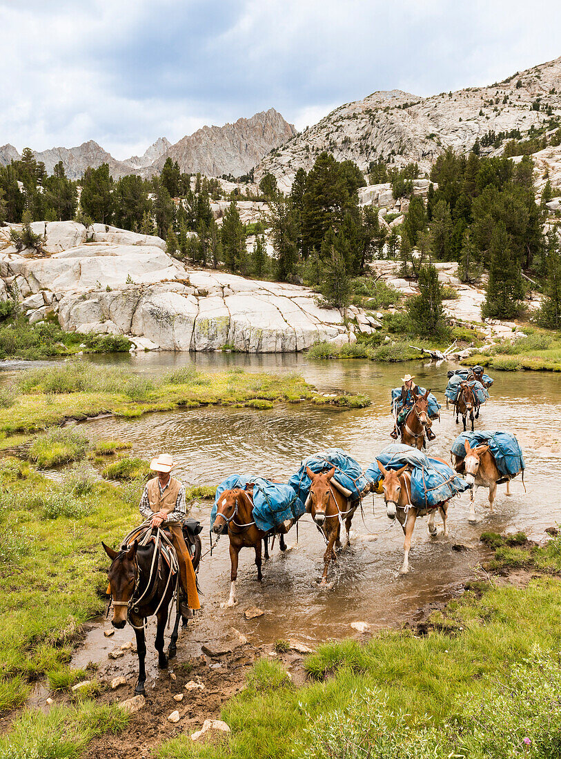 Horse Packers lead a pack train across a stream