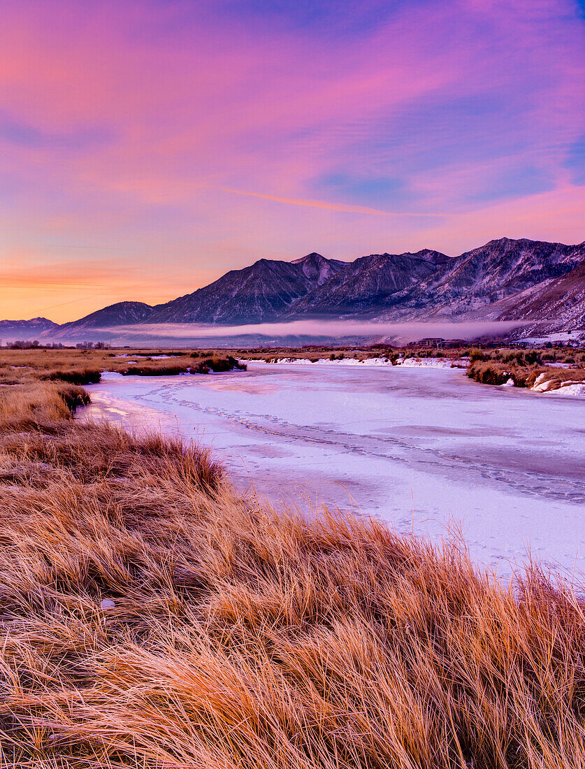 Grasses and frozen river at sunrise