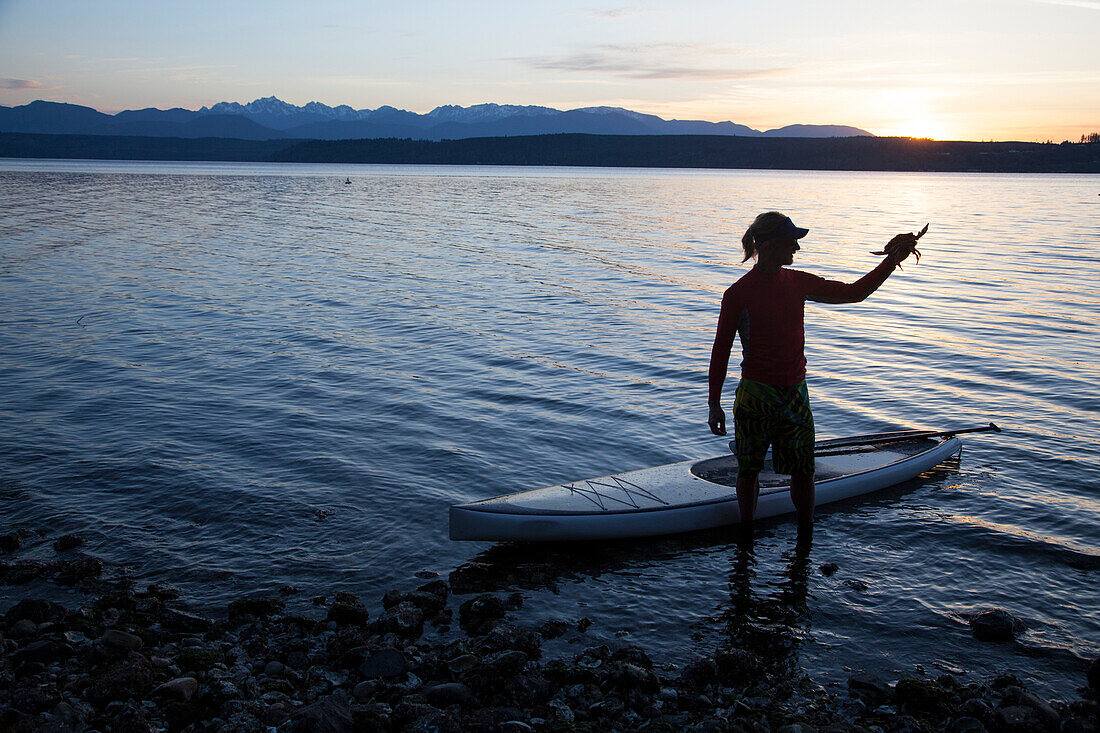 A fit male holds a rock crab he caught with his paddle while stand up paddle boarding (SUP) along the Hood Canal in the Puget Sound with the Olympic Mountains behind him near Poulsbo, Washington at sunset.