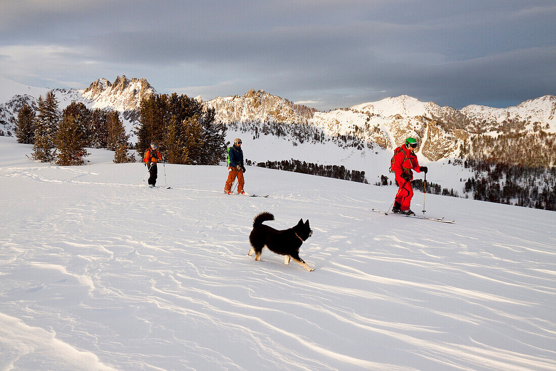 Three backcountry skiers and their dog ski across a ridge at sunset in the Beehive Basin near Big Sky, Montana.