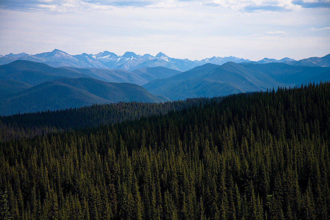 Forested mountain ridges at dusk.