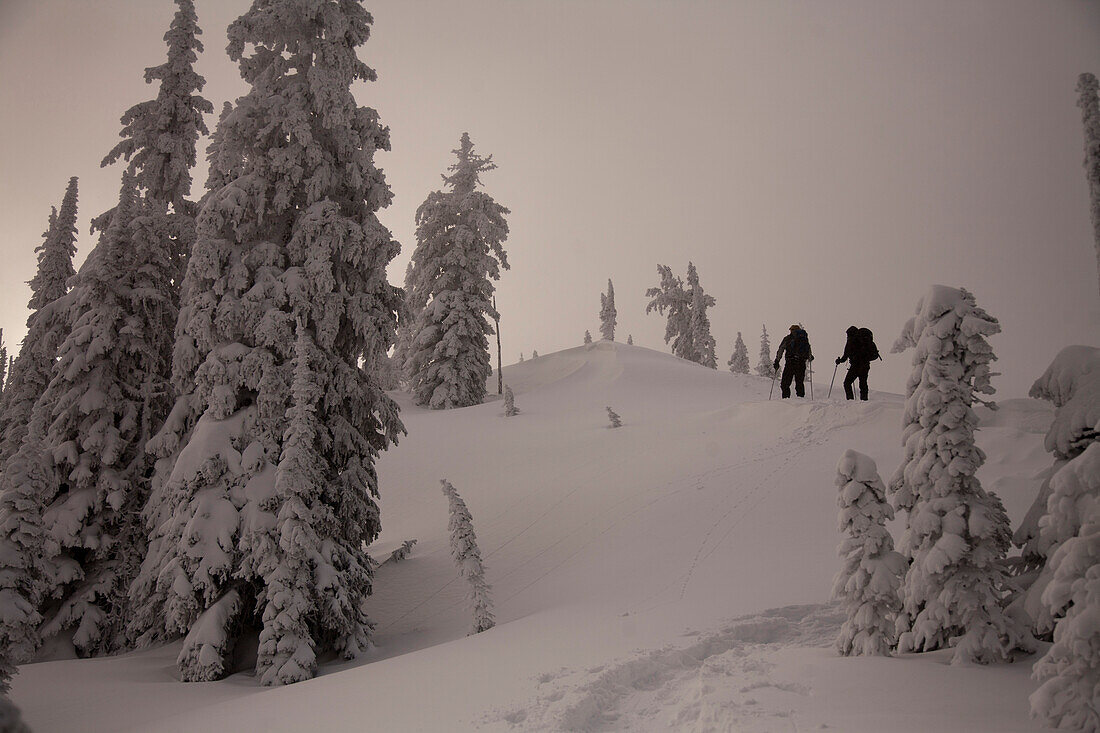 Silhouette of two backcountry skiers in the mountains in Nelson, British Columbia, Canada.