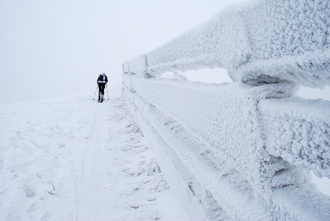 Ski tourer walks along icy fence.