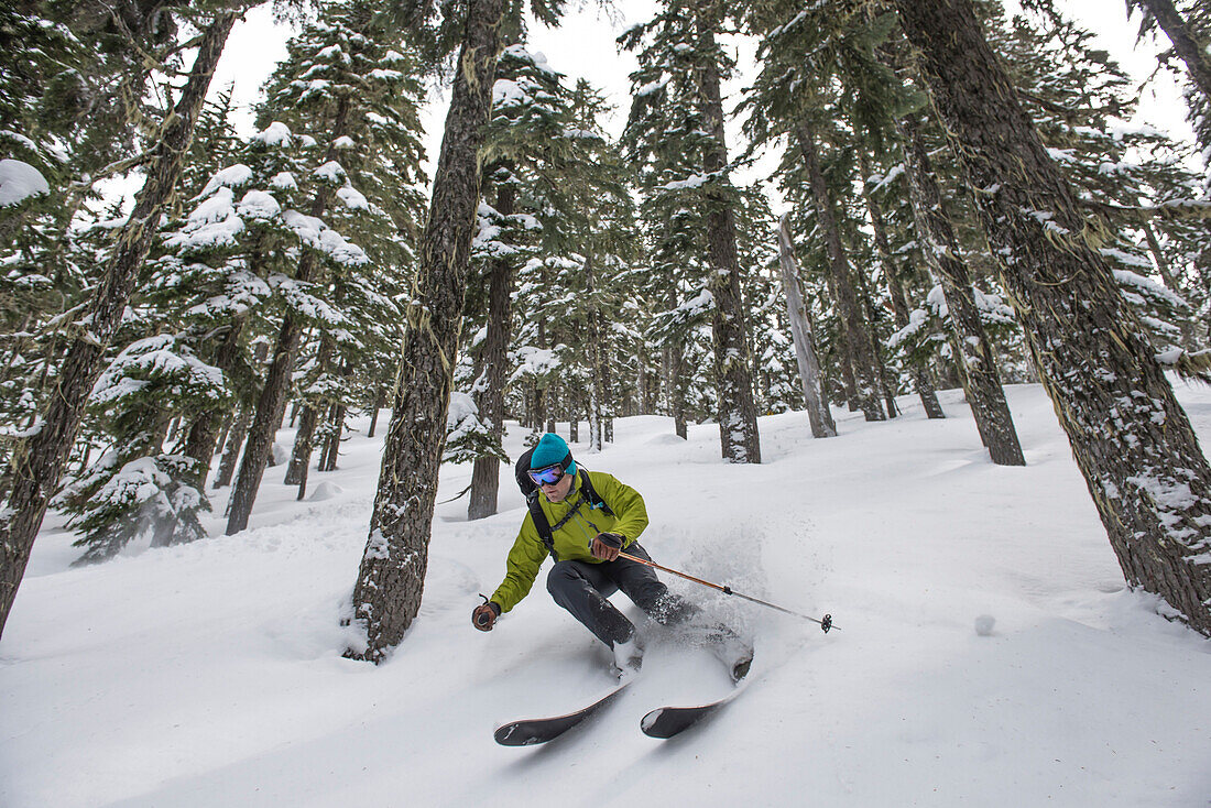 Back country skier in the trees near Stevens Pass, Washington