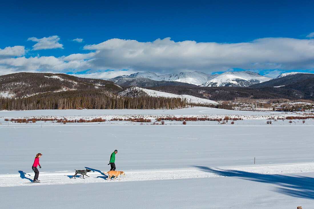 Man and Woman cross country ski with dogs.