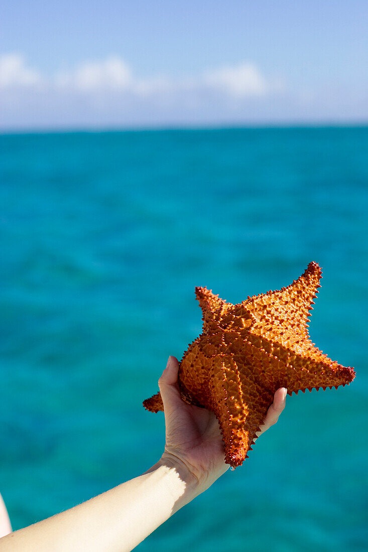 Hand Holding Starfish, Camaguey, Cuba