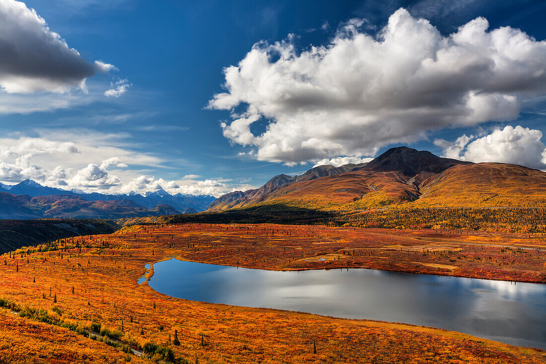 Scenic View Of Fall Colors Along Knob Lake From Alascom Road Near Sheep Mountain And The Glenn Highway, Southcentral Alaska, Autumn, Hdr