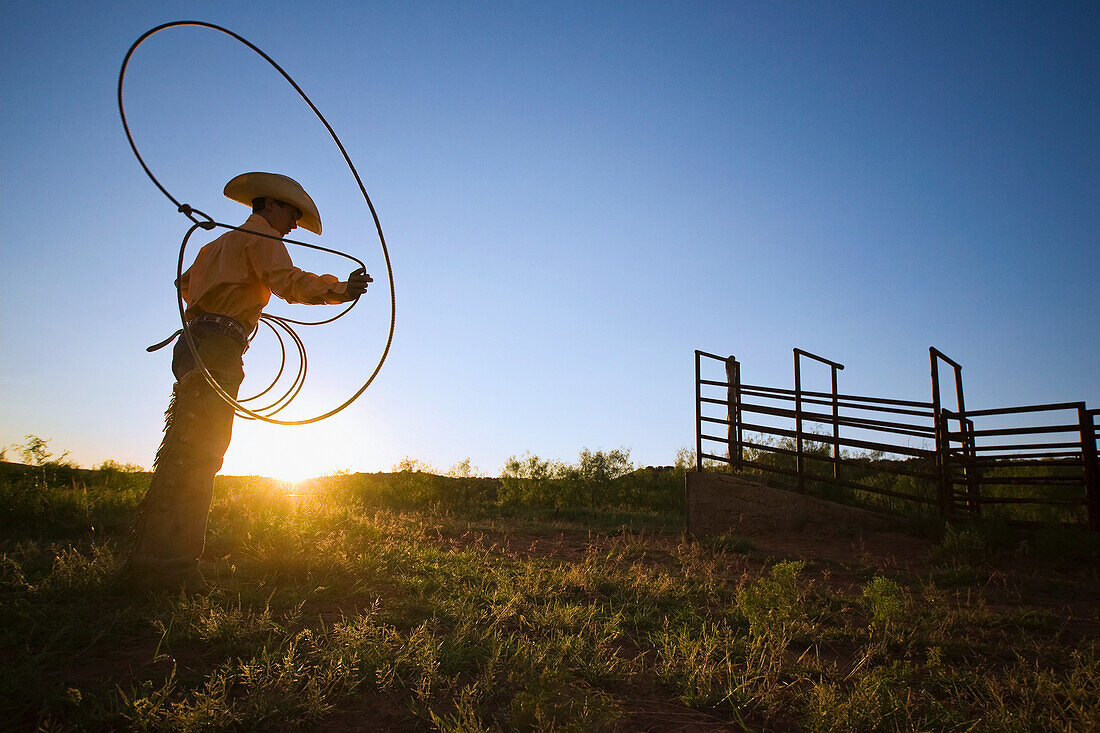Agriculture - A young cowboy, silhouetted by the setting sun, spins his lariat (aka. lasso rope) / Childress, Texas, USA.
