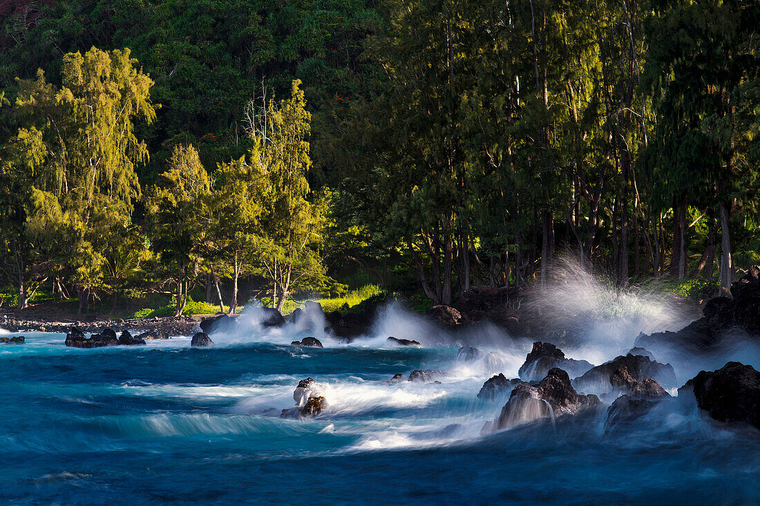 'Lapahoehoe shoreline, Hamakua Coast; Island of Hawaii, Hawaii, United States of America'