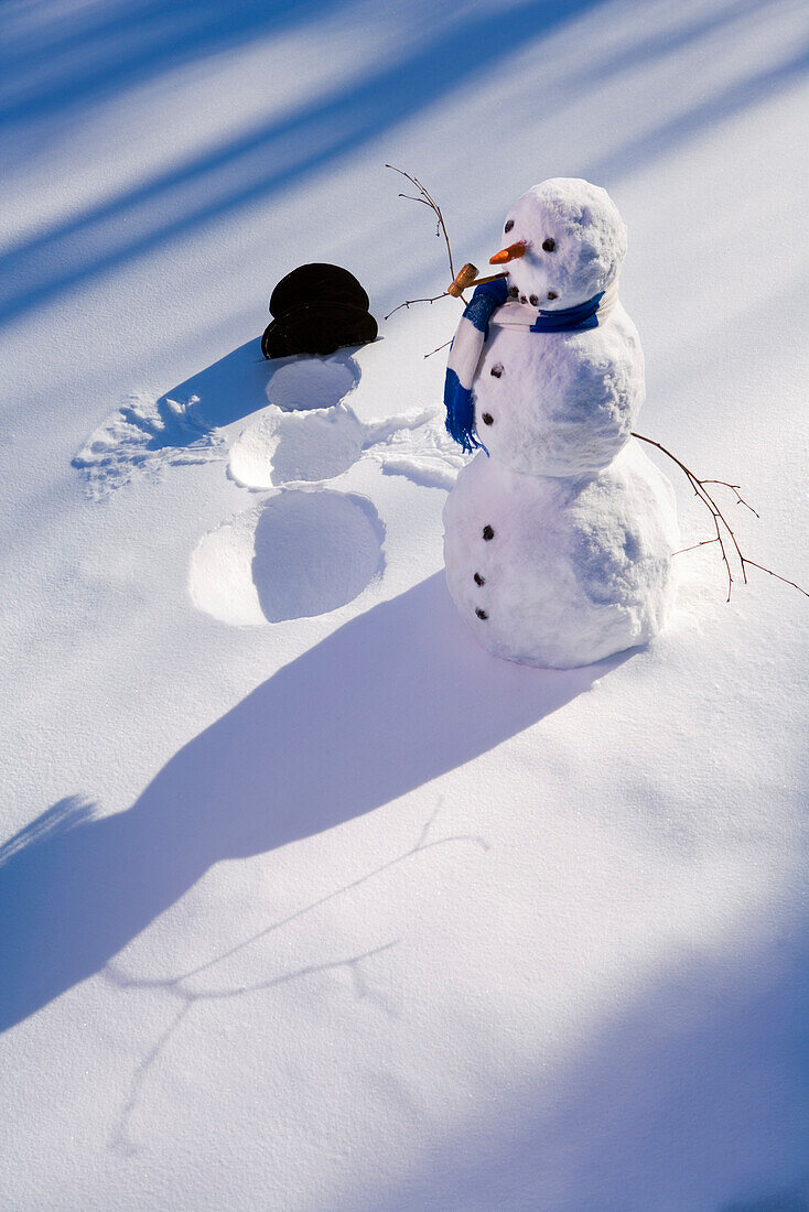 Snowman In Forest Making Snow Angel Imprint In Snow In Late Afternoon Sunlight Alaska Winter