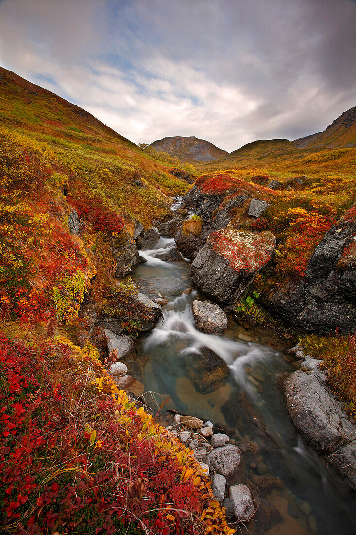 Small Stream Through The Fall Colored Tundra In Hatcher Pass, Southcentral, Alaska