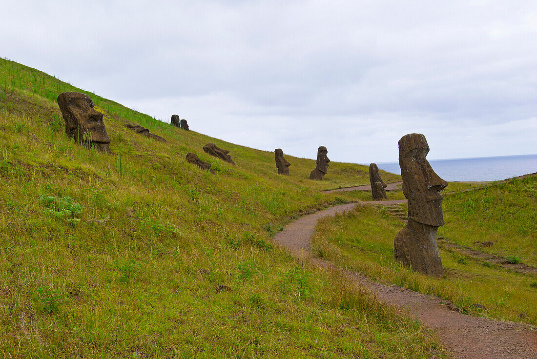 'Tiki sentinels guard the volcanic pathway in Rano Raraku National Park; Easter Island, Chile'