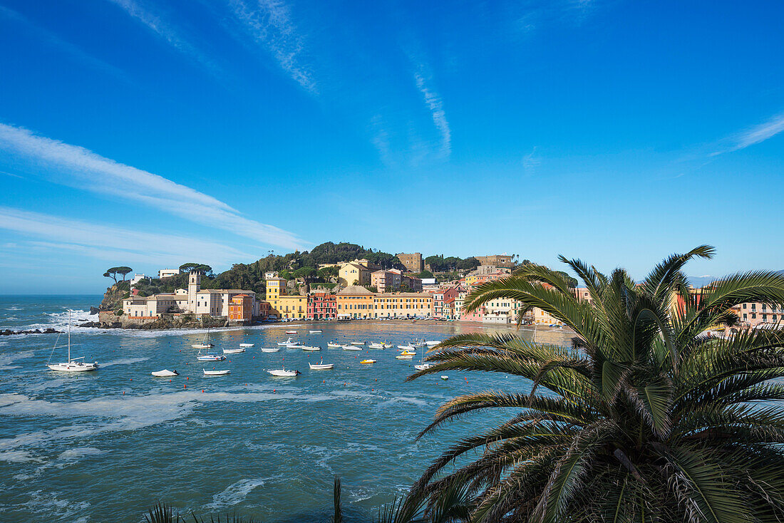 'Boats in the harbour along the coast of Cinque Terre; Sestri Levante, Liguria, Italy'