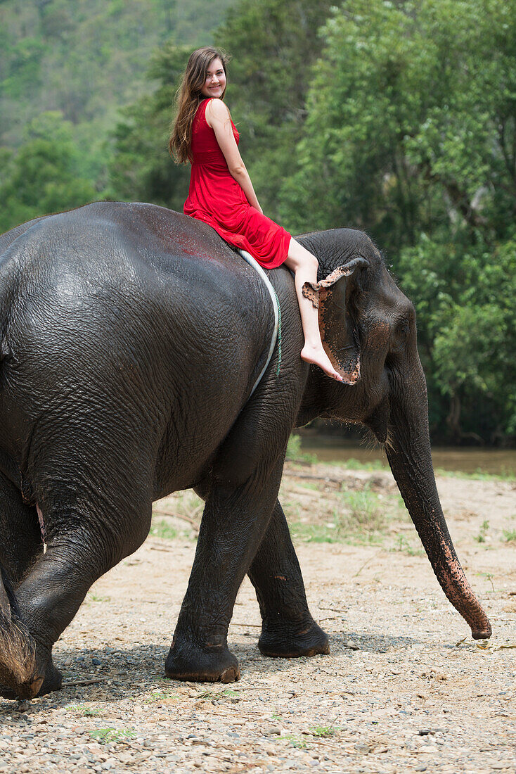 'Girl riding an elephant; Chiang Mai, Thailand'