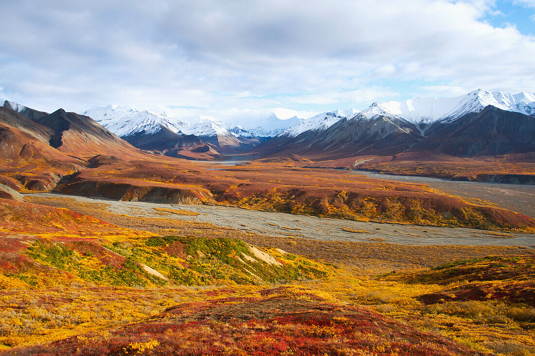 Autumn scenic of colorful tundra and the snowcapped Alaska Range in Denali National Park, Interior Alaska