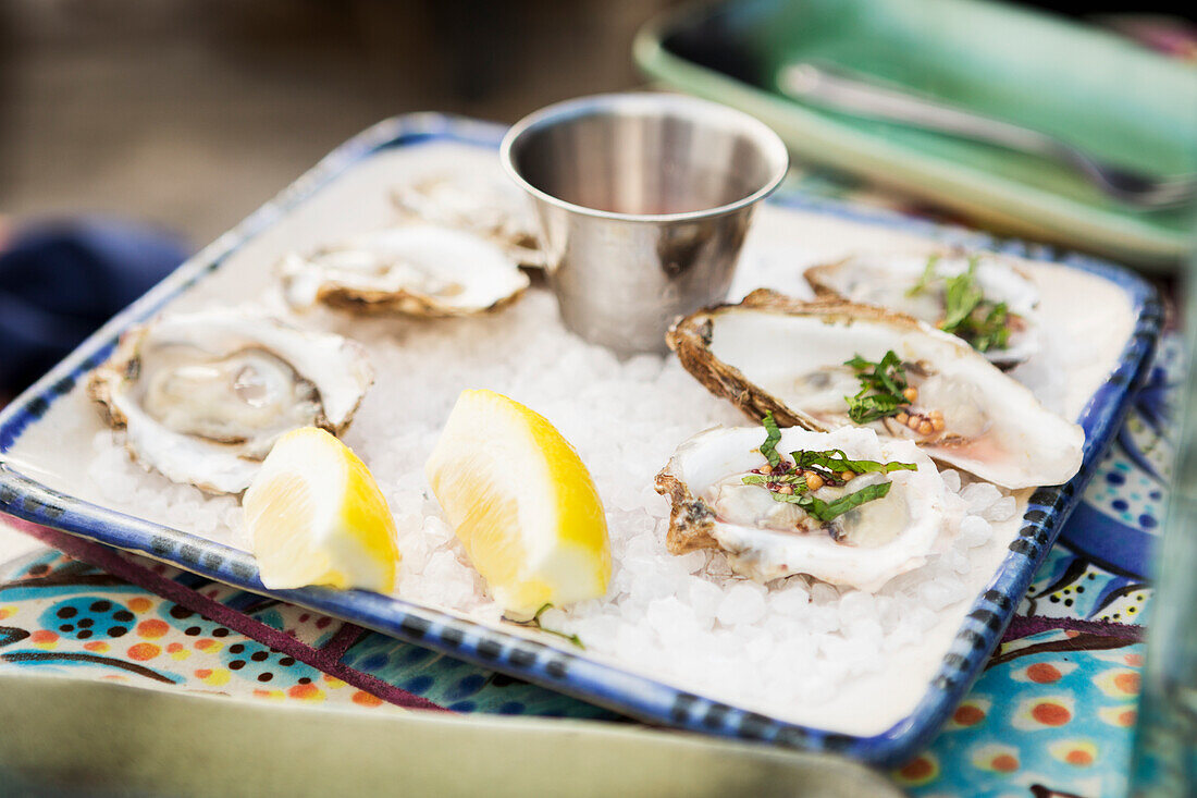 Fresh local oysters served at the Saltry Restaurant in Halibut Cove, Kachemak Bay, Southcentral Alaska.