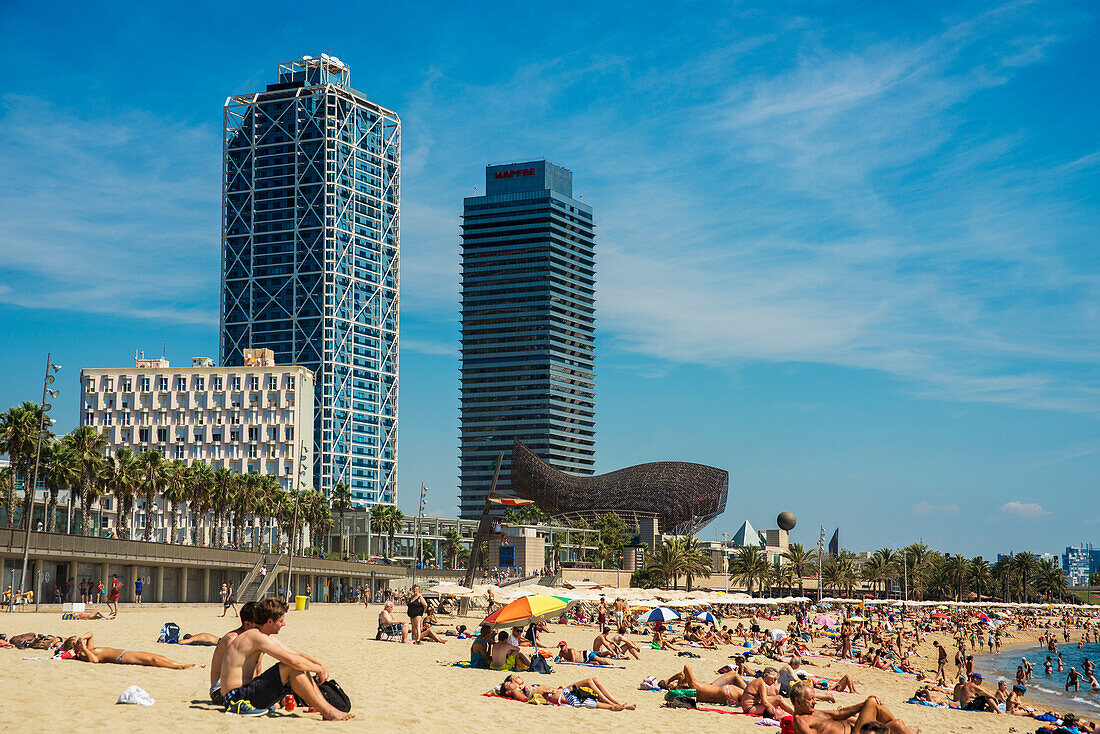 'A crowded Barceloneta beach with skyscrapers in the distance; Barcelona, Catalonia, Spain'
