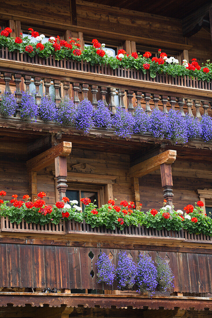 'Wooden alpine balconies with colourful flower boxes; Tux-Lanersbach, Austria'