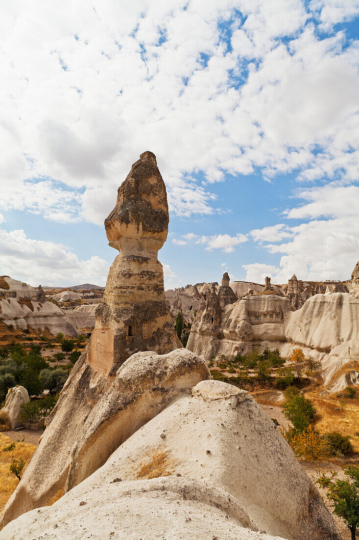 'Fairy chimneys in Pigeon Valley; Cappadocia, Turkey'