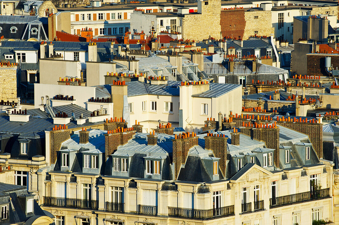 'Residential buildings and chimneys on the rooftops; Paris, France'