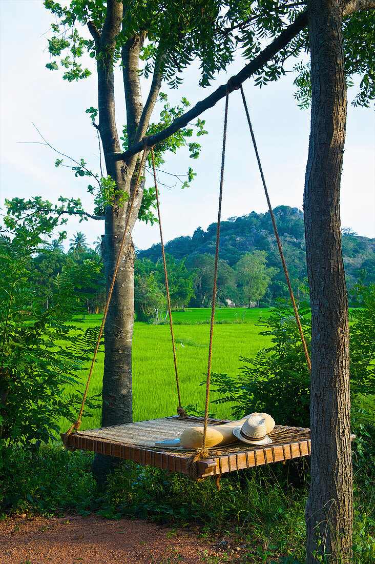 'A wooden swing hanging from a tree with a lush green field in the background; Ulpotha, Embogama, Sri Lanka'