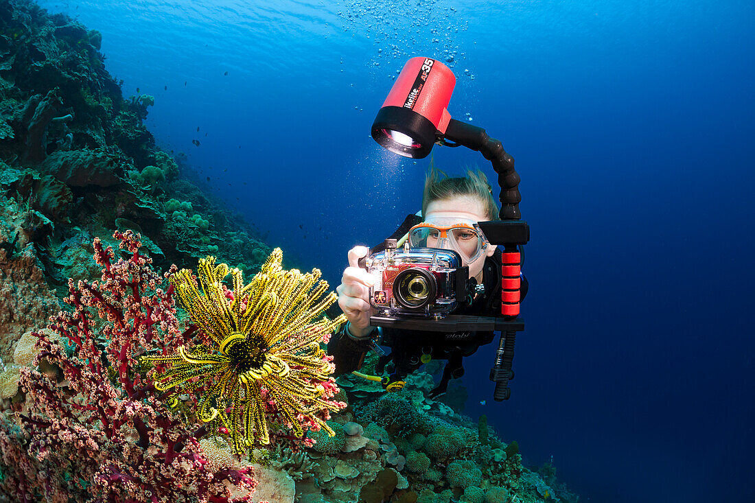 Indonesia, Diver photographing colorful soft reef.
