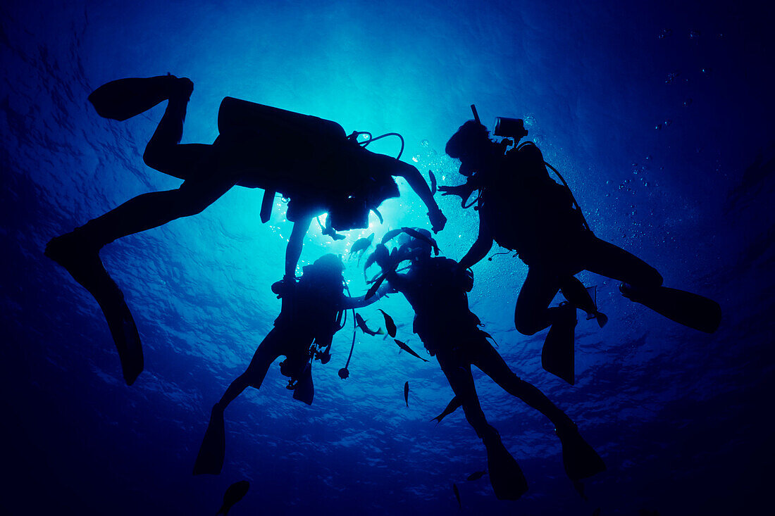 Hawaii, Divers silhouetted by sunburst