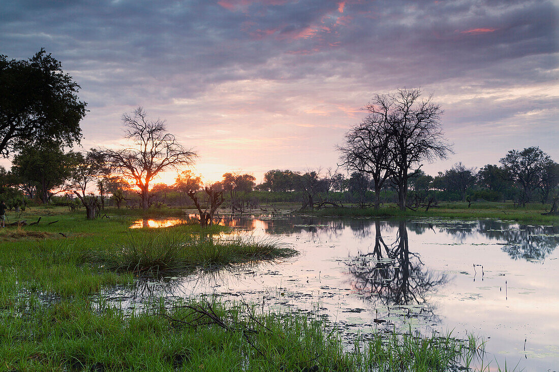 Okavango Delta, Botswana, Africa