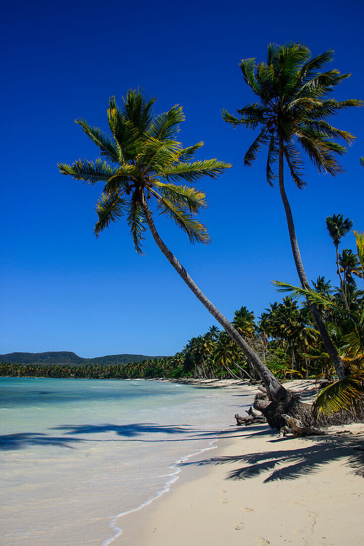 Playa Grande, Las Galeras, Semana peninsula, Dominican Republic, West Indies, Caribbean, Central America