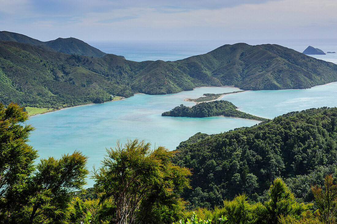 View over the Marlborough Sounds, South Island, New Zealand, Pacific