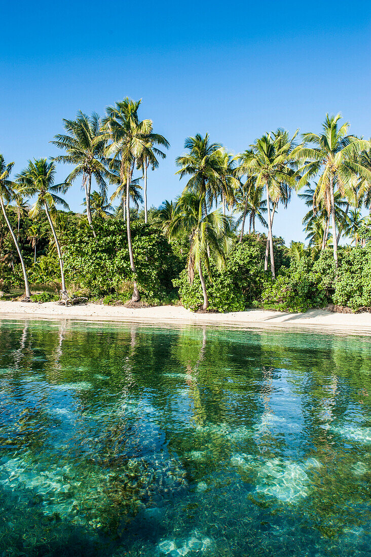 White sand beach, Nanuya Lailai island, the blue lagoon, Yasawas, Fiji, South Pacific, Pacific