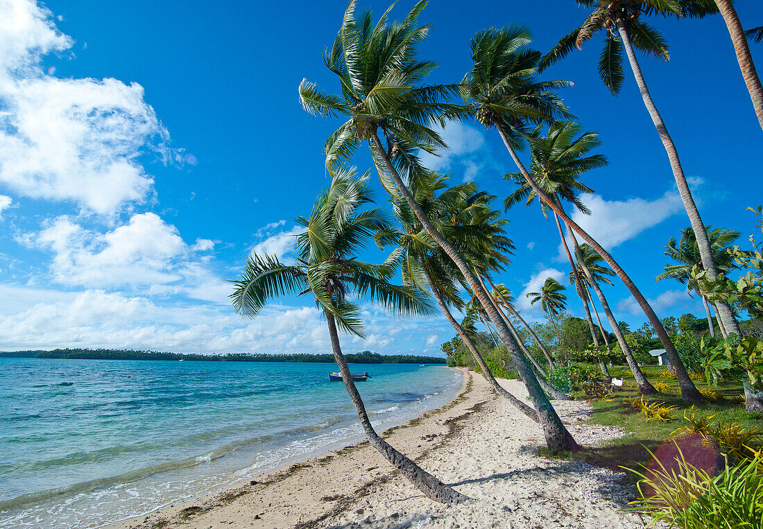 Palm fringed white sand beach on an islet of Vavau, Vavau Islands, Tonga, South Pacific, Pacific