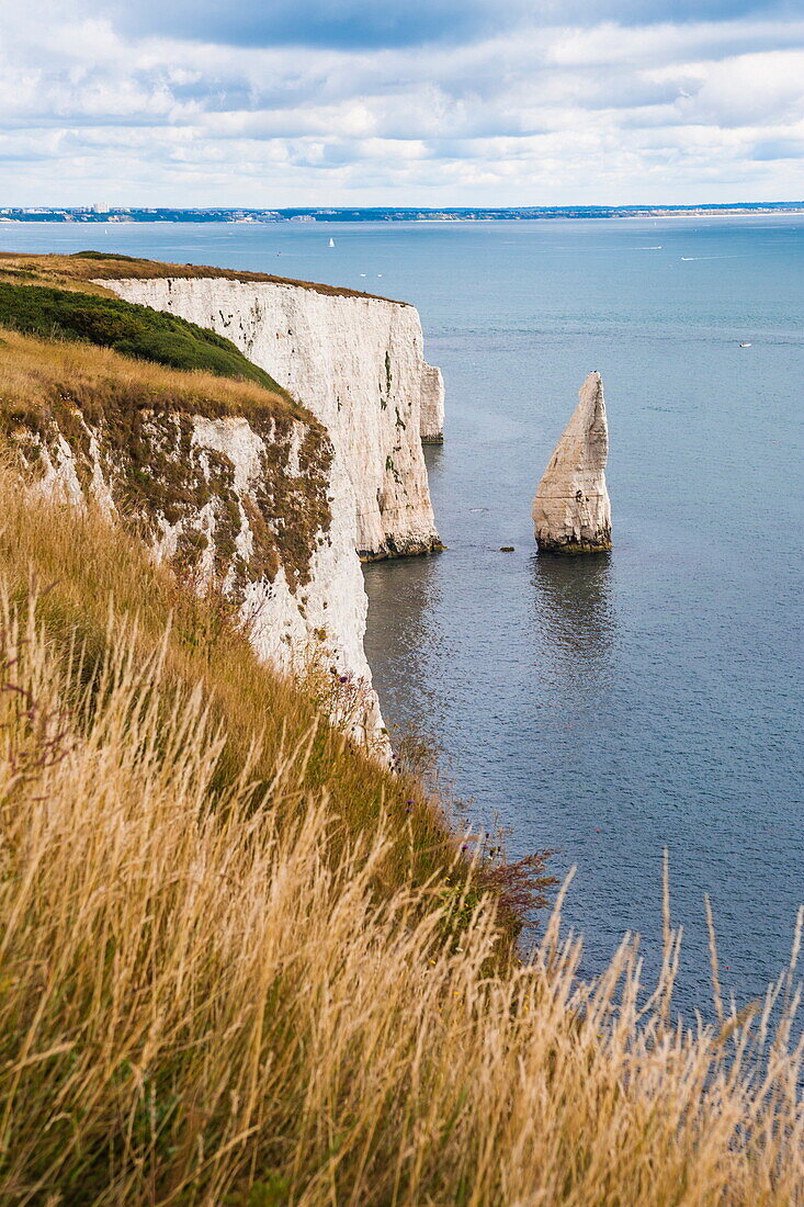 Chalk stacks and cliffs at Old Harry Rocks, between Swanage and Purbeck, Dorset, Jurassic Coast, UNESCO World Heritage Site, England, United Kingdom, Europe