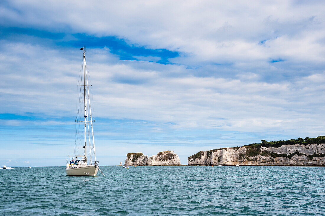 Sailing boat at Old Harry Rocks, between Swanage and Purbeck, Dorset, Jurassic Coast, UNESCO World Heritage Site, England, United Kingdom, Europe
