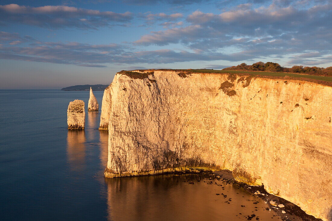 Morning sunshine illuminates Handfast Point on the Jurassic Coast, UNESCO World Heritage Site, Dorset, England, United Kingdom, Europe