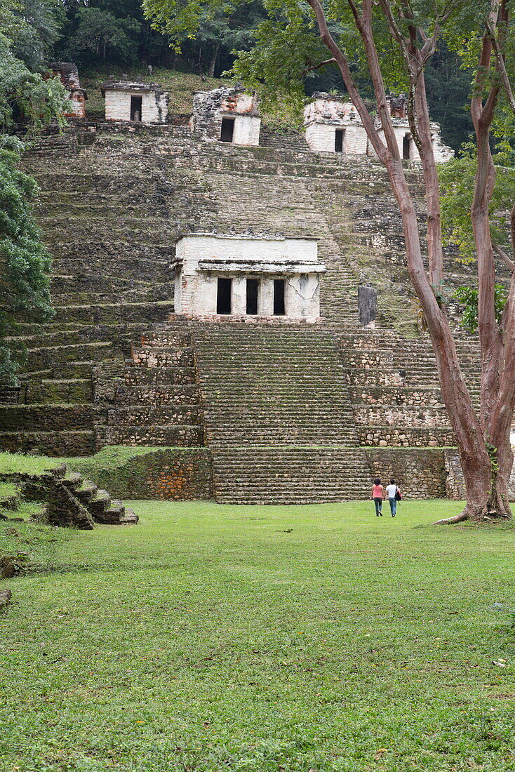 The Acropolis, Building 3 in the foreground, Mayan Archaeological Site, Bonampak, Chiapas, Mexico, North America