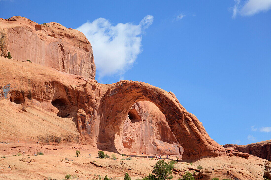 Corona Arch, Bootlegger Canyon, near Moab, Potash Road, Utah, United States of America, North America