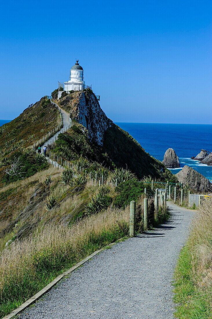 Nugget Point Lighthouse, the Catlins, South Island, New Zealand, Pacific