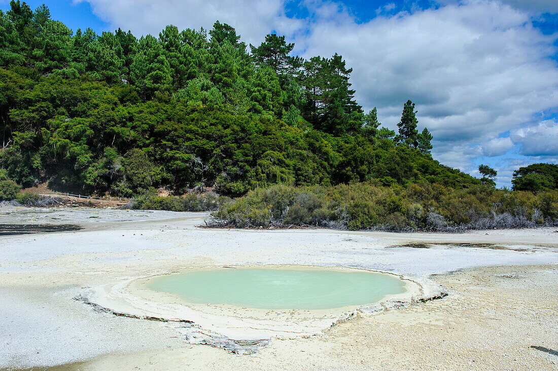 Geoactive thermal pool, Wai-O-Tapu Thermal Wonderland, Waiotapu, North Island, New Zealand, Pacific