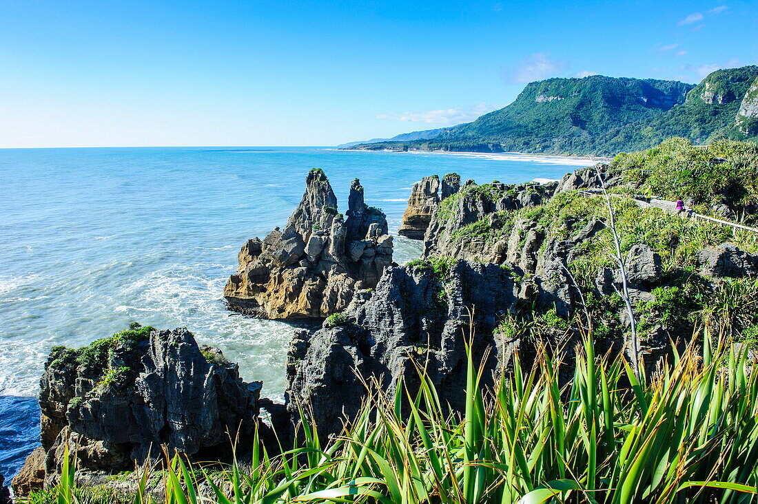 Beautiful rock formation, Pancake Rocks, Paparoa National Park, West Coast, South Island, New Zealand, Pacific